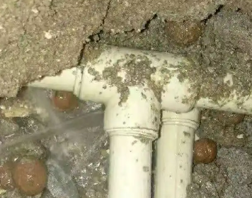 商水测漏水多少钱