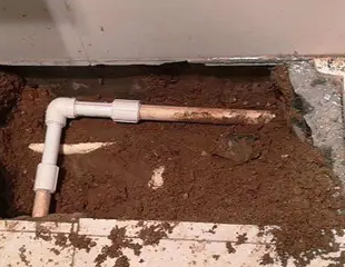 商水测漏水哪家好