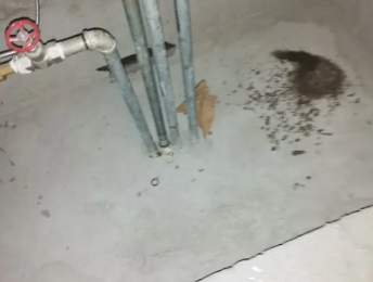 商水卫生间测漏水价格明细